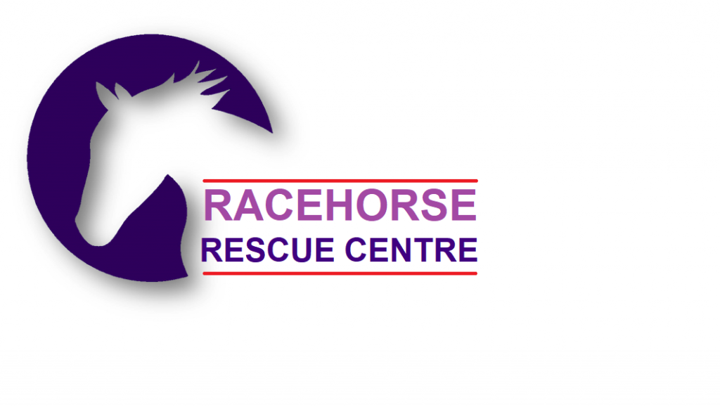 Racehorse Rescue Centre » What is the purple poppy?